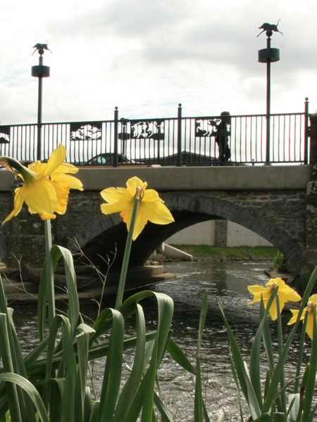 Whitland, St Clears & the South West