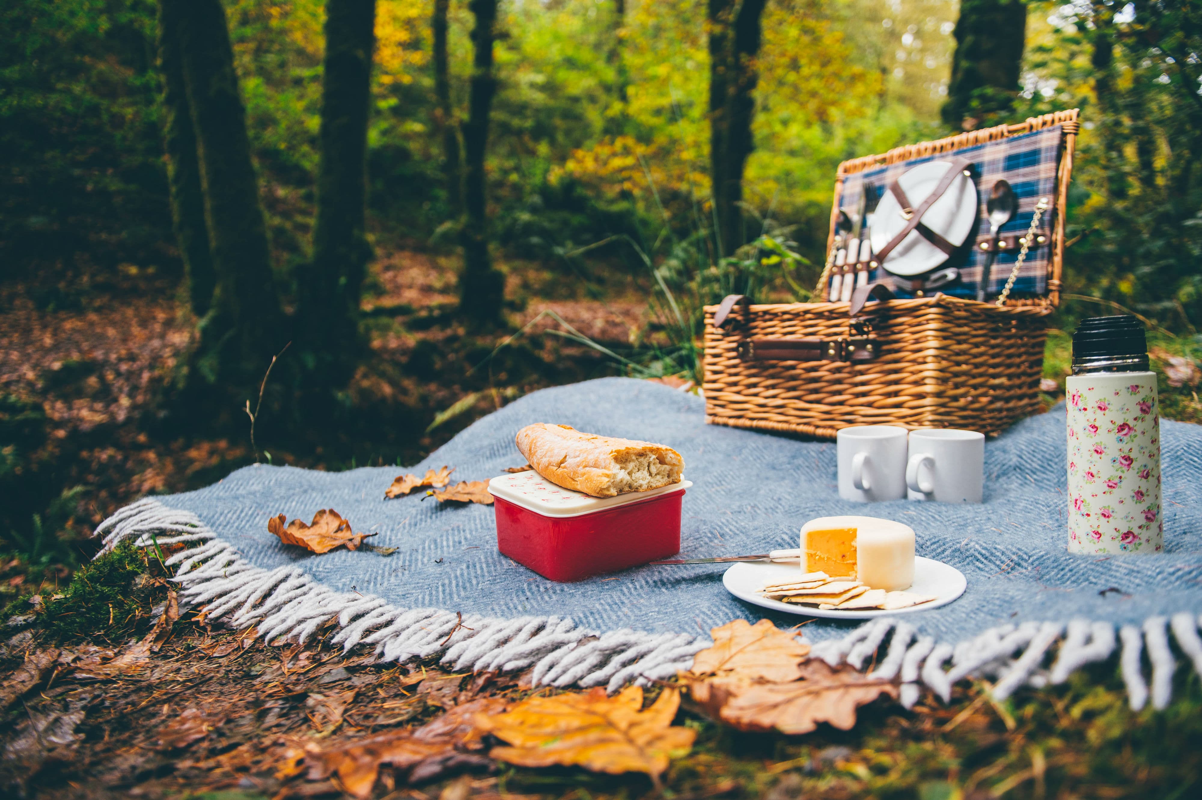 Устроить пикник на английском. Пикник на природе. Пикник в лесу. Стол на природе. Пикник на природе осень.