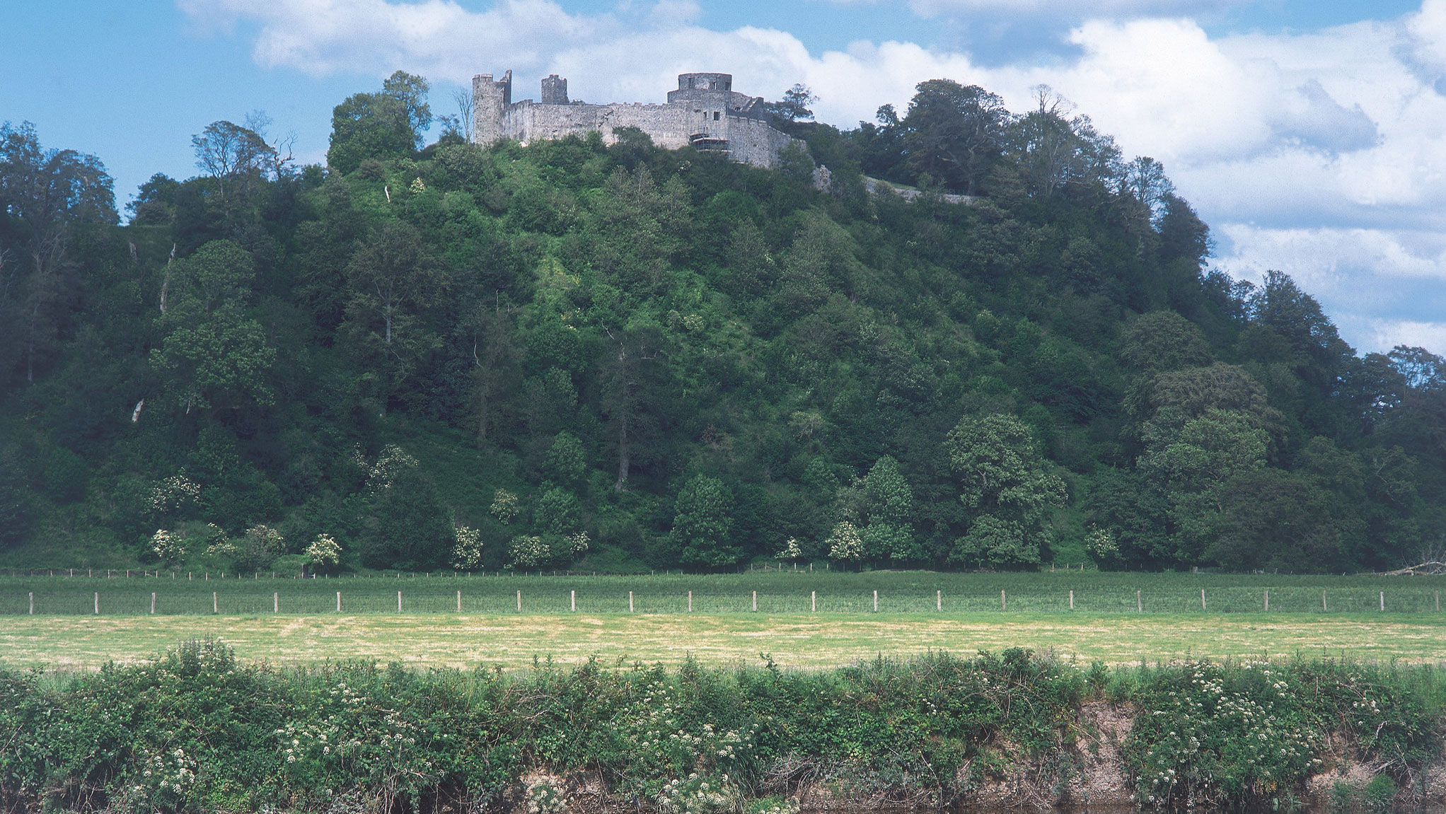 Dinefwr Castle