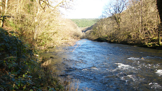 River Cothi